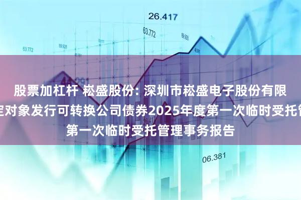 股票加杠杆 崧盛股份: 深圳市崧盛电子股份有限公司向不特定对象发行可转换公司债券2025年度第一次临时受托管理事务报告