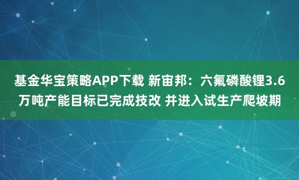 基金华宝策略APP下载 新宙邦：六氟磷酸锂3.6万吨产能目标已完成技改 并进入试生产爬坡期