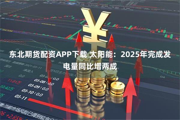 东北期货配资APP下载 太阳能：2025年完成发电量同比增两成