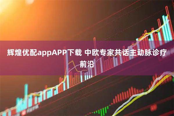 辉煌优配appAPP下载 中欧专家共话主动脉诊疗前沿